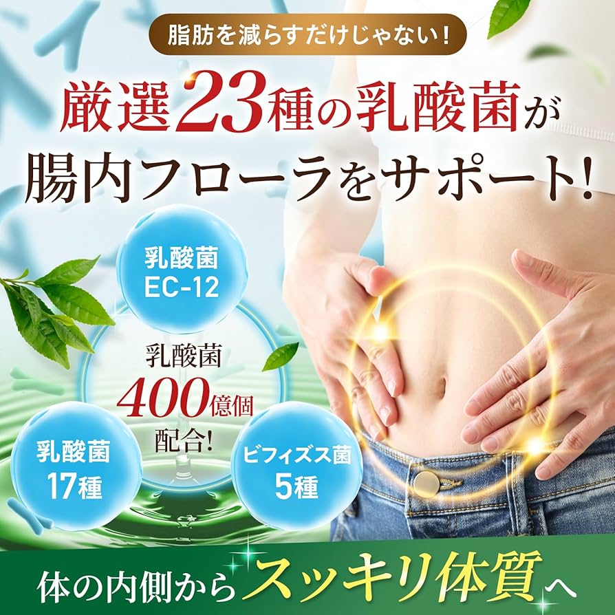 モヤセル　腹部の脂肪を減らす　乳酸菌　セット モヤセル 腹部の脂肪を減らす 乳酸菌 セット